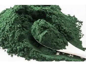 Organic Spirulina Powder: Premium Super‑Green Protein Source for Daily Wellness